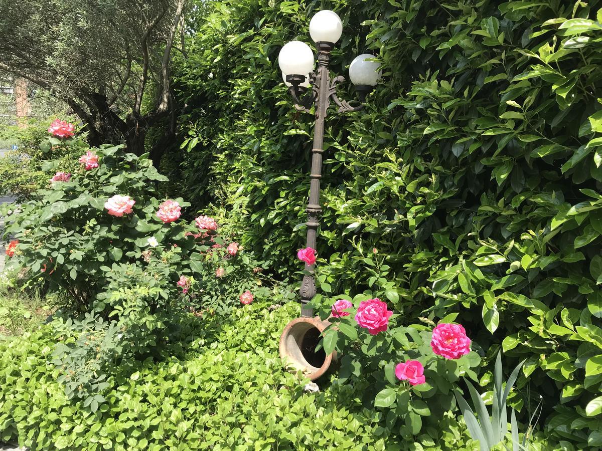 Villa Donatella Parma Kültér fotó